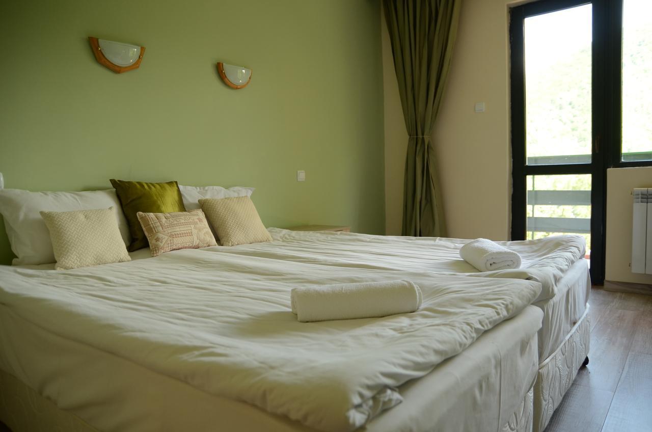 Park Hotel Ribaritsa ภายนอก รูปภาพ